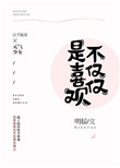 《不仅仅是喜欢你》封面