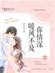 《暖风不及你情深（重生）》封面