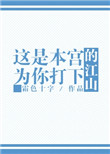 《这是本宫为你打下的江山》封面