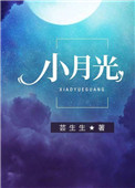《小月光》封面