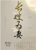 《山河枕（长嫂为妻）》封面