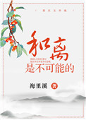 《和离是不可能的》封面