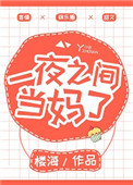《一夜之间当妈了》封面