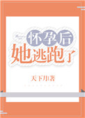 《怀孕后她逃跑了》封面