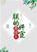 《朕的奸宦是佳人》封面
