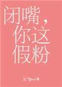 《闭嘴，你这假粉》封面
