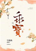 《天子掌中宝》封面