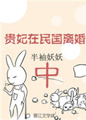 《贵妃在民国离婚中》封面