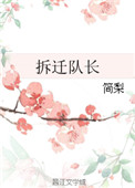 《拆迁队长》封面