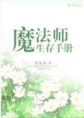 《魔法师生存手册》封面