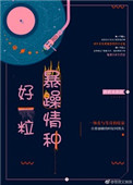 《好一粒暴躁情种》封面