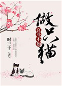 《宫斗不如做只猫》封面