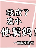 《我成了发小他舅妈》封面