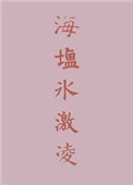 《海盐冰激凌》封面