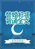 《替婚标准，背诵全文》封面