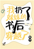 《我扔了妹妹的书后穿越了》封面