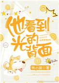 《他看到光的背面》封面