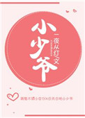 《小少爷》封面