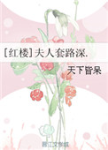 《[红楼]夫人套路深.》封面