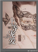 《上等宠爱》封面