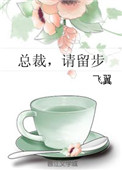 《总裁，请留步》封面
