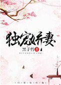 《独宠娇妻（重生）》封面