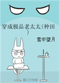 《穿成极品老太太(种田)》封面
