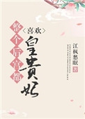 《整个后宫都喜欢皇贵妃》封面