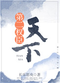 《天下第二权臣》封面