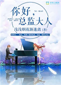 《你好，总监大人》封面
