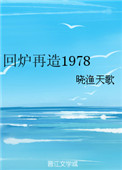 《回炉再造1978》封面