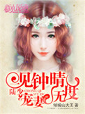 《一见钟晴：陆少，宠妻无度》封面