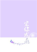 《宠你成瘾[娱乐圈]》封面