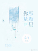 《你是哪颗星》封面