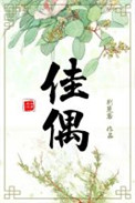 《佳偶》封面
