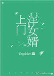 《上门洋女婿》封面