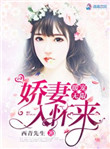 《暖宠无限之娇妻入怀来》封面