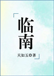 《临南（不可能喜欢你）》封面