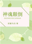 《神魂颠倒》封面