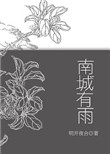 《南城有雨》封面