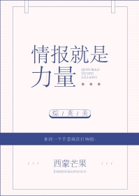 《[综英美]情报就是力量》封面