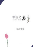 《罪臣之妻（作者：斐妩）》封面