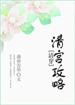 《清宫攻略（清穿）》封面
