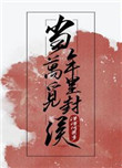 《当年万里觅封侯》封面