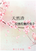 《天然渣》封面