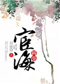 《宦海（科举）》封面