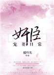 《奸臣宠妻日常》封面