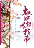 《权奸投喂指南》封面