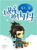 《有贼抢内丹》封面