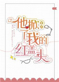 《他掀了我的红盖头》封面